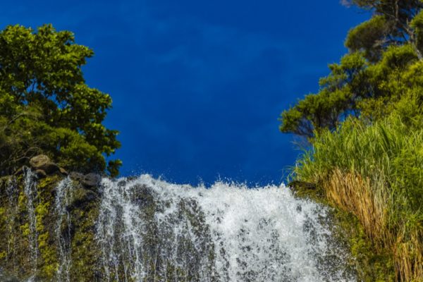Print - Piha Waterfall