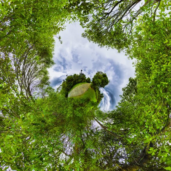 Look Up, Look Down